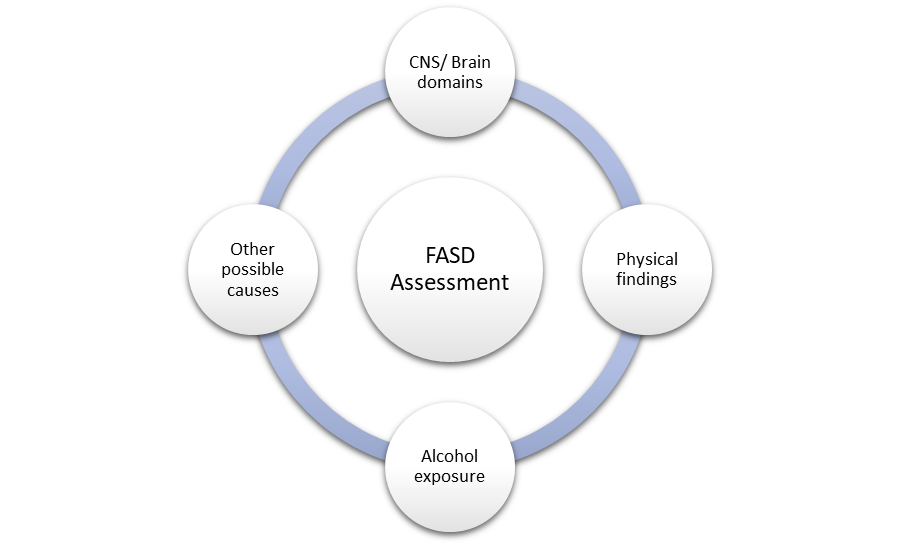 fasd assessment circle 