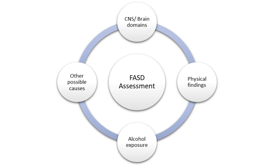 CNS/Brain domains, Physical findings, alcohol exposure and other possible causes